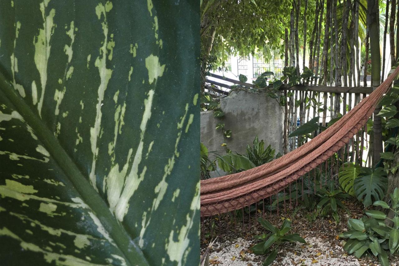 Wabi Sabi Garden Guesthouse By Amara Concepts. Tulum Exterior photo